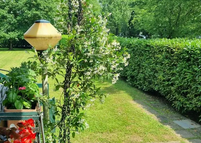 I Cigni Holidays *